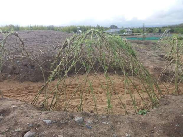 FB_IMG_1519641646807